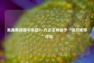 易鑫集团盘中涨超8% 方正证券给予“强烈推荐”评级