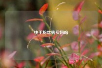 快手粉丝购买网站
