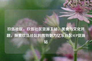 玖伍社区，玖伍社区货源主站，美食与文化共融，探索玖伍社区的独特魅力亿乐社区SUP货源站
