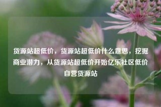 货源站超低价，货源站超低价什么意思，挖掘商业潜力，从货源站超低价开始亿乐社区低价自营货源站