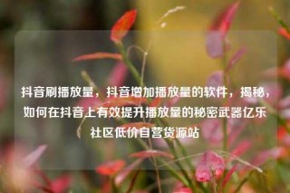 抖音刷播放量，抖音增加播放量的软件，揭秘，如何在抖音上有效提升播放量的秘密武器亿乐社区低价自营货源站