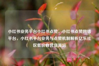 小红书业务平台小红书点赞，小红书点赞网络平台，小红书平台业务与点赞机制解析亿乐社区低价自营货源站