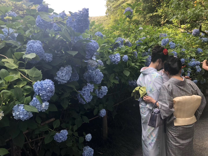 花开之处，便是故地  第26张