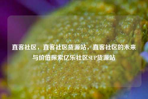 直客社区，直客社区货源站，直客社区的未来与价值探索亿乐社区SUP货源站  第1张