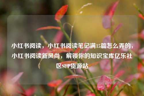 小红书阅读，小红书阅读笔记满15篇怎么弄的，小红书阅读新风尚	，解锁你的知识宝库亿乐社区SUP货源站  第1张