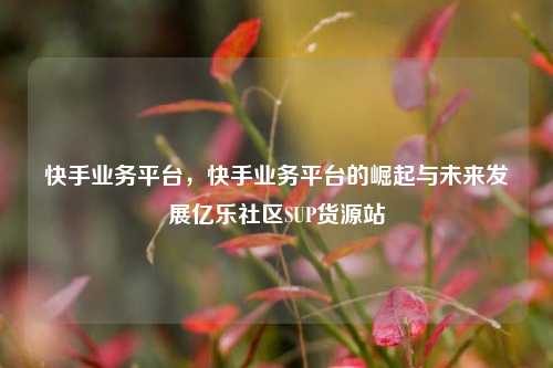 快手业务平台	，快手业务平台的崛起与未来发展亿乐社区SUP货源站  第1张