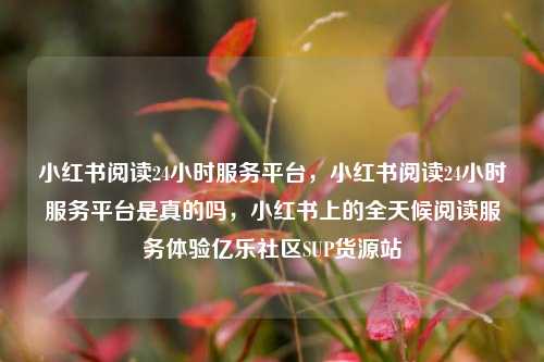 小红书阅读24小时服务平台，小红书阅读24小时服务平台是真的吗，小红书上的全天候阅读服务体验亿乐社区SUP货源站  第1张