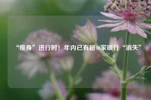 “瘦身”进行时！年内已有超40家银行“消失”  第1张