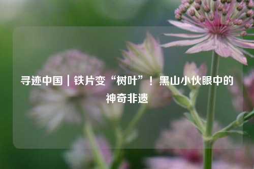 寻迹中国｜铁片变“树叶”！黑山小伙眼中的神奇非遗  第1张