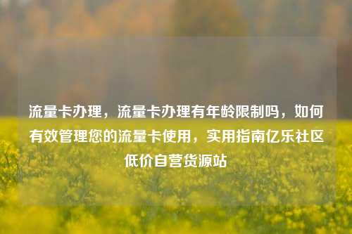 流量卡办理，流量卡办理有年龄限制吗，如何有效管理您的流量卡使用，实用指南亿乐社区低价自营货源站  第1张
