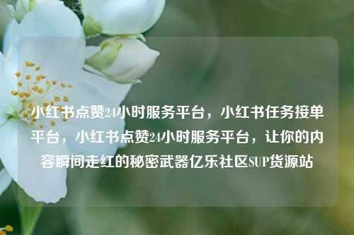 小红书点赞24小时服务平台，小红书任务接单平台	，小红书点赞24小时服务平台，让你的内容瞬间走红的秘密武器亿乐社区SUP货源站  第1张
