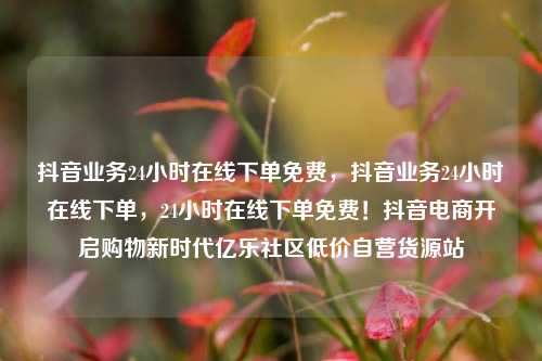抖音业务24小时在线下单免费，抖音业务24小时在线下单	，24小时在线下单免费！抖音电商开启购物新时代亿乐社区低价自营货源站  第1张
