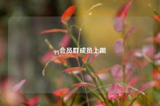 qq会员群成员上限