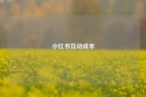 小红书互动成本