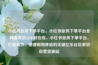 小红书业务下单平台，小红书业务下单平台全网最低价24小时在线，小红书业务下单平台，打造高效、便捷购物体验的关键亿乐社区低价自营货源站