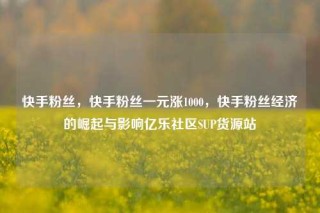 快手粉丝，快手粉丝一元涨1000，快手粉丝经济的崛起与影响亿乐社区SUP货源站