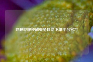 哔哩哔哩秒刷业务自助下单平台官方