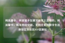 纯流量卡，纯流量卡在哪才能买上正规的，纯流量卡，畅享网络空间，无拘无束的数字生活体验亿乐社区SUP货源站