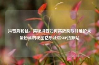抖音刷粉丝，揭秘抖音如何高效刷取并维护大量粉丝的秘密亿乐社区SUP货源站
