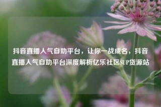 抖音直播人气自助平台，让你一战成名，抖音直播人气自助平台深度解析亿乐社区SUP货源站