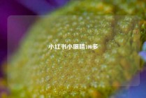 小红书小眼睛100多