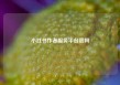 小红书作者服务平台官网