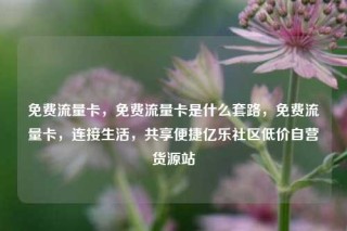 免费流量卡，免费流量卡是什么套路，免费流量卡，连接生活，共享便捷亿乐社区低价自营货源站