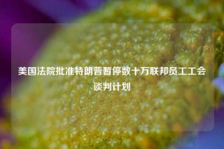 美国法院批准特朗普暂停数十万联邦员工工会谈判计划