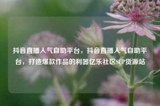 抖音直播人气自助平台，抖音直播人气自助平台，打造爆款作品的利器亿乐社区SUP货源站