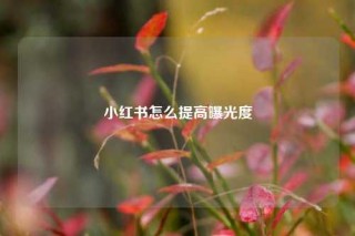 小红书怎么提高曝光度