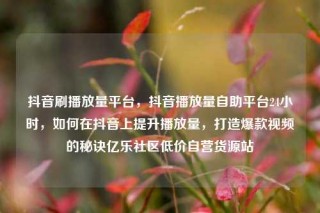 抖音刷播放量平台，抖音播放量自助平台24小时，如何在抖音上提升播放量，打造爆款视频的秘诀亿乐社区低价自营货源站