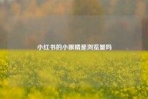 小红书的小眼睛是浏览量吗