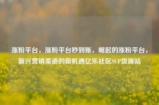 涨粉平台，涨粉平台秒到账，崛起的涨粉平台，新兴营销渠道的新机遇亿乐社区SUP货源站