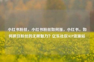 小红书粉丝，小红书粉丝如何涨，小红书，如何抓住粉丝的无限魅力？亿乐社区SUP货源站