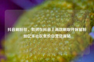 抖音刷粉丝，如何在抖音上高效刷取并保留粉丝亿乐社区低价自营货源站