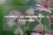 小红书刷粉丝，小红书刷粉丝秘籍大公开！亿乐社区SUP货源站