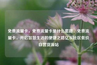免费流量卡，免费流量卡是什么套路，免费流量卡，开启智慧生活的便捷之路亿乐社区低价自营货源站