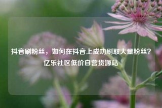 抖音刷粉丝，如何在抖音上成功刷取大量粉丝？亿乐社区低价自营货源站