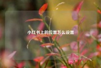 小红书上的位置怎么设置