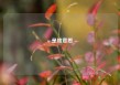 uv是啥意思