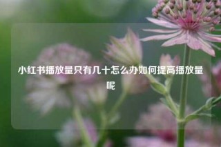 小红书播放量只有几十怎么办如何提高播放量呢