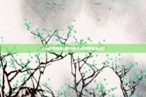 dy点赞赚米(如何通过点赞赚取米饭)