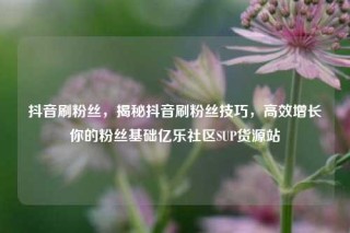 抖音刷粉丝，揭秘抖音刷粉丝技巧，高效增长你的粉丝基础亿乐社区SUP货源站