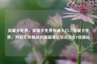 流量卡免费，流量卡免费申请入口，流量卡免费，开启无限畅游的新篇章亿乐社区SUP货源站
