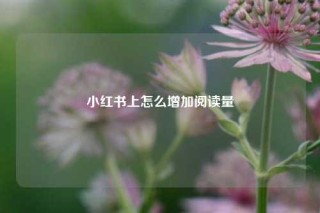 小红书上怎么增加阅读量