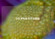 小红书专业号平台登陆