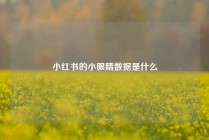 小红书的小眼睛数据是什么
