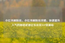小红书刷粉丝，小红书刷粉丝攻略，快速提升人气的秘密武器亿乐社区SUP货源站