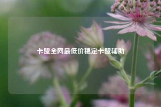 卡盟全网最低价稳定卡盟辅助