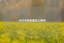 小红书浏览量怎么算钱